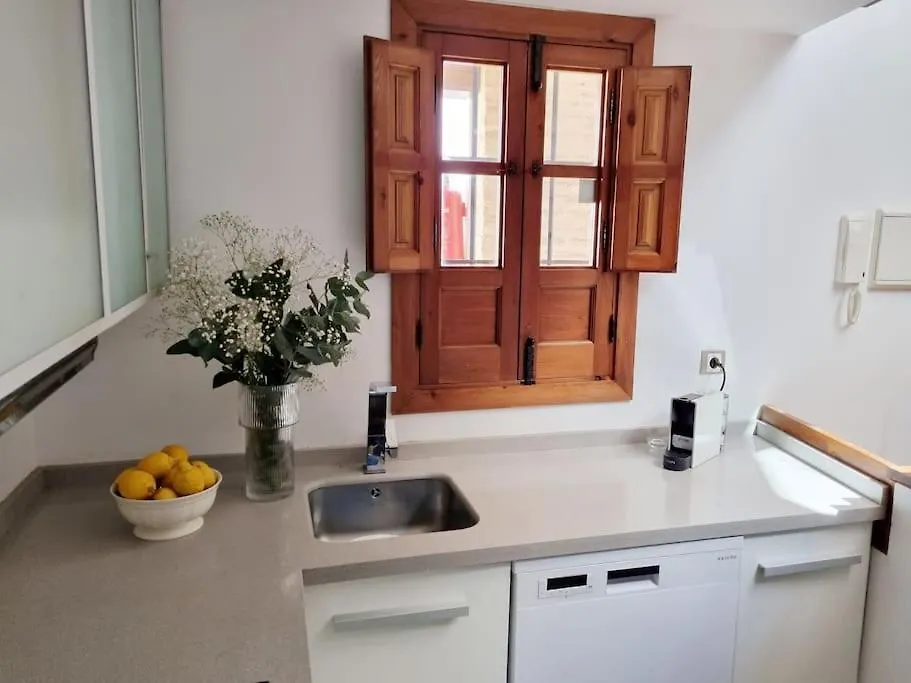 Loft & Private Rooftop With Bbq Seville 0*,  Spain