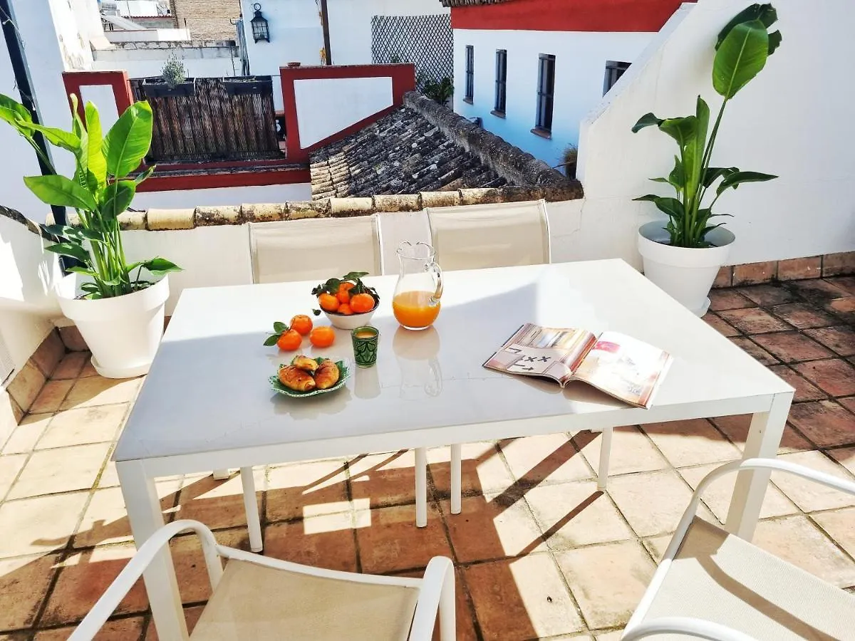 Loft & Private Rooftop With Bbq Seville