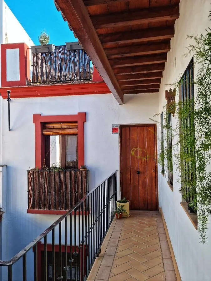 Apartment Loft & Private Rooftop With Bbq Seville