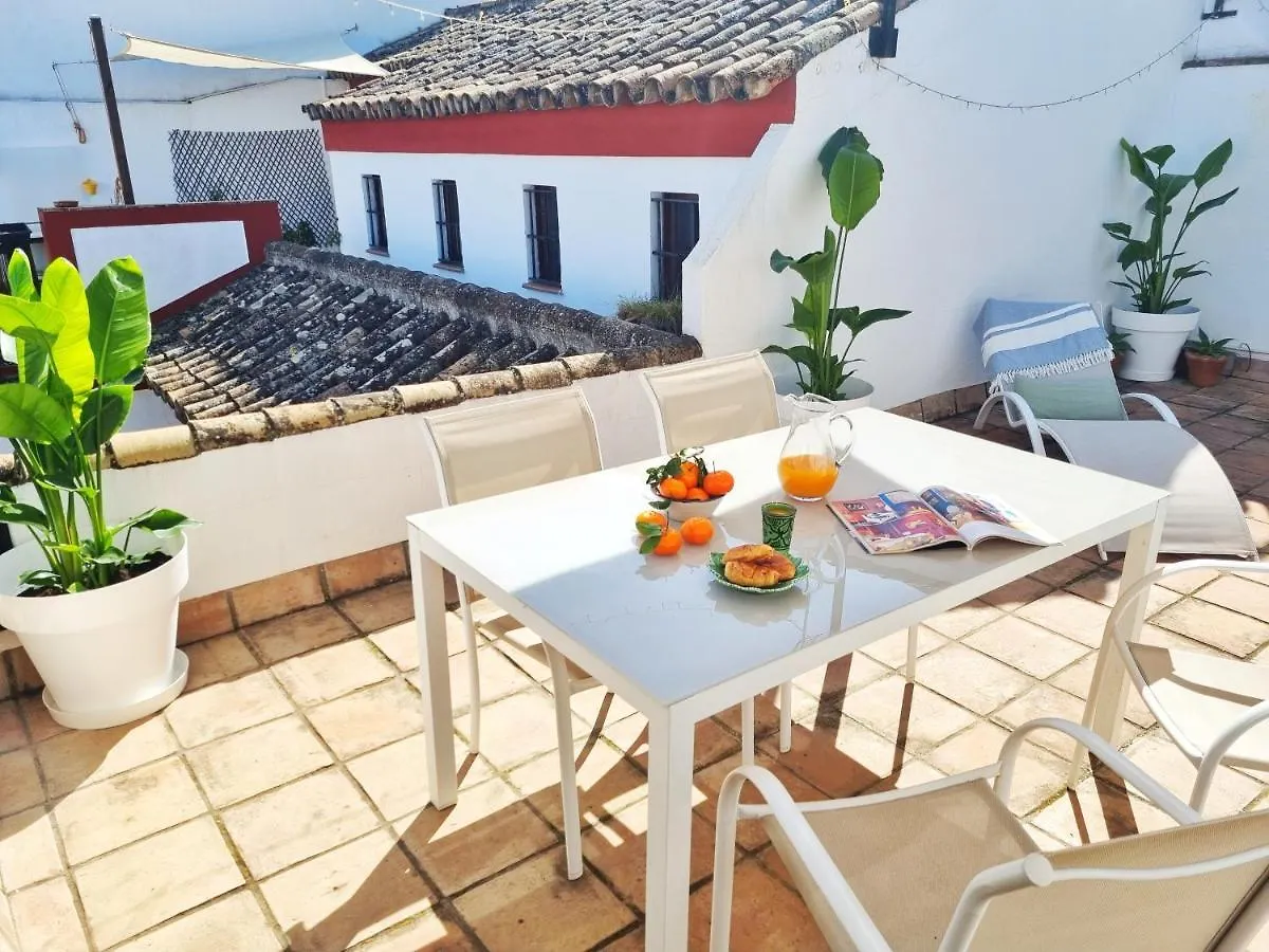 Loft & Private Rooftop With Bbq Seville 0*,  Spain