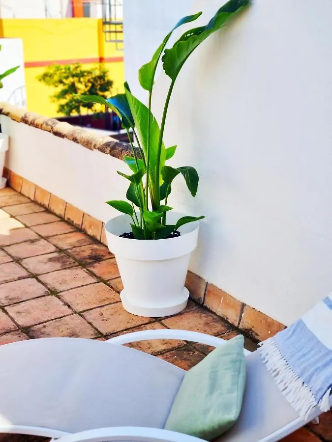 Loft & Private Rooftop With Bbq Seville 0*,
